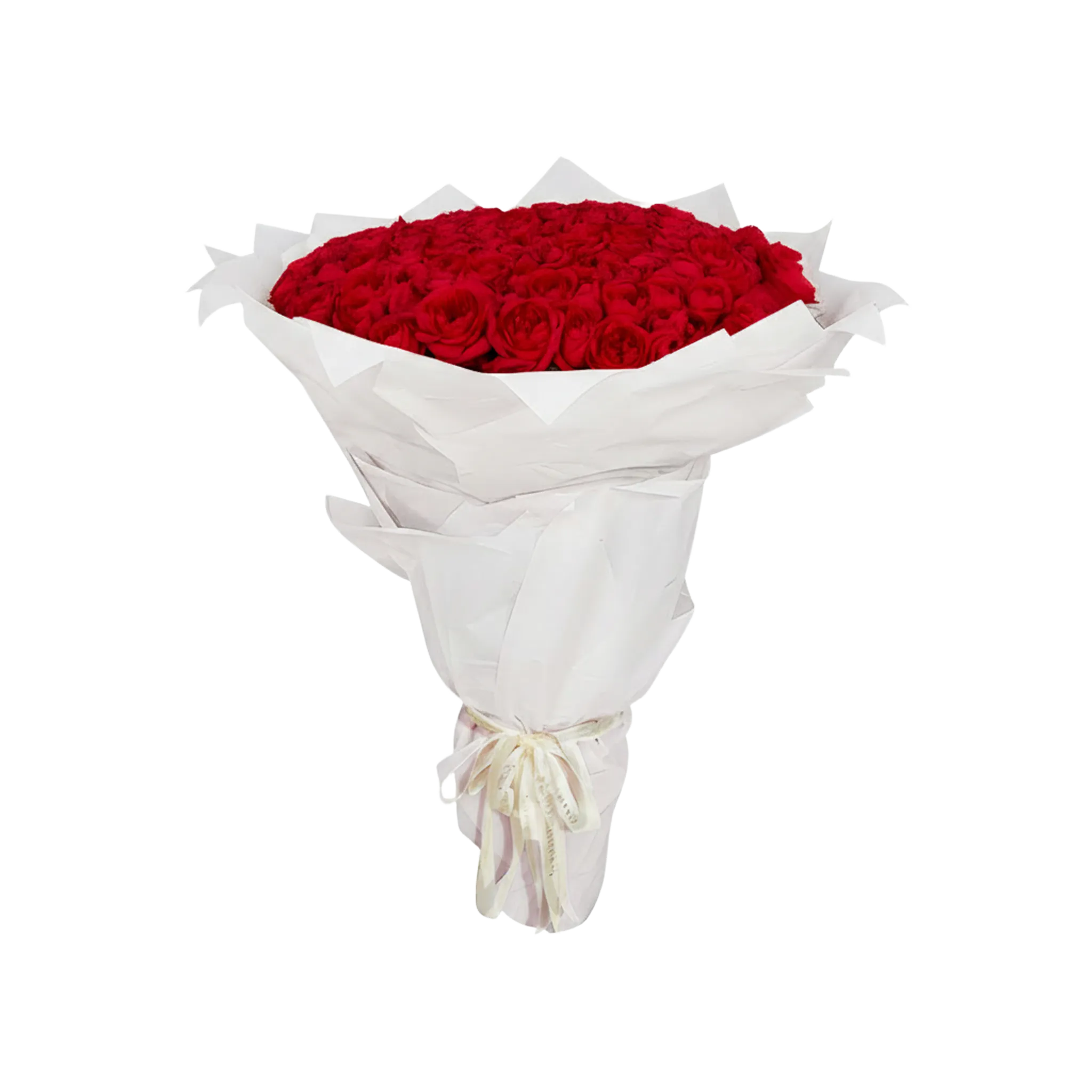 Fresh Rose Bouquet | Red