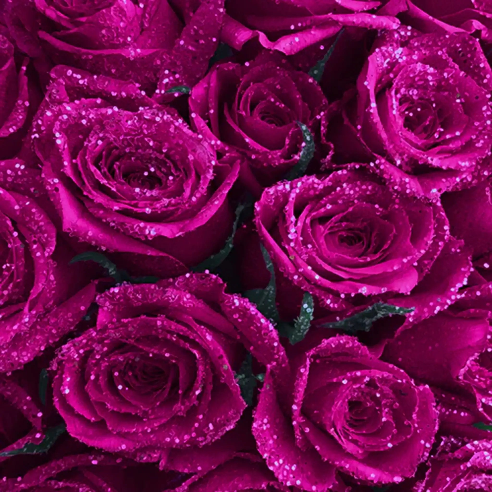 Fresh Glitter Rose Bouquet | Fuchsia