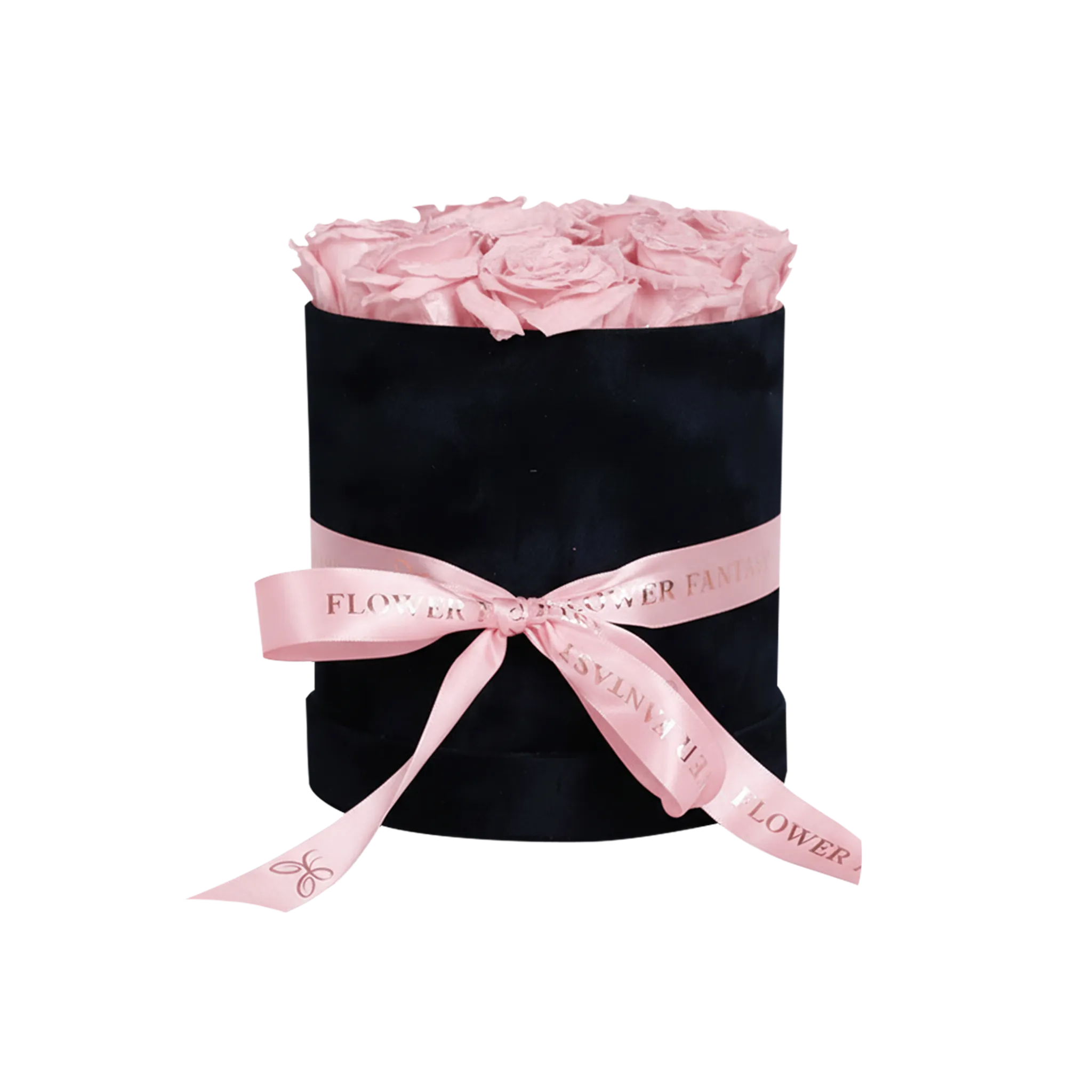 Long Lasting Rose Box | Pink