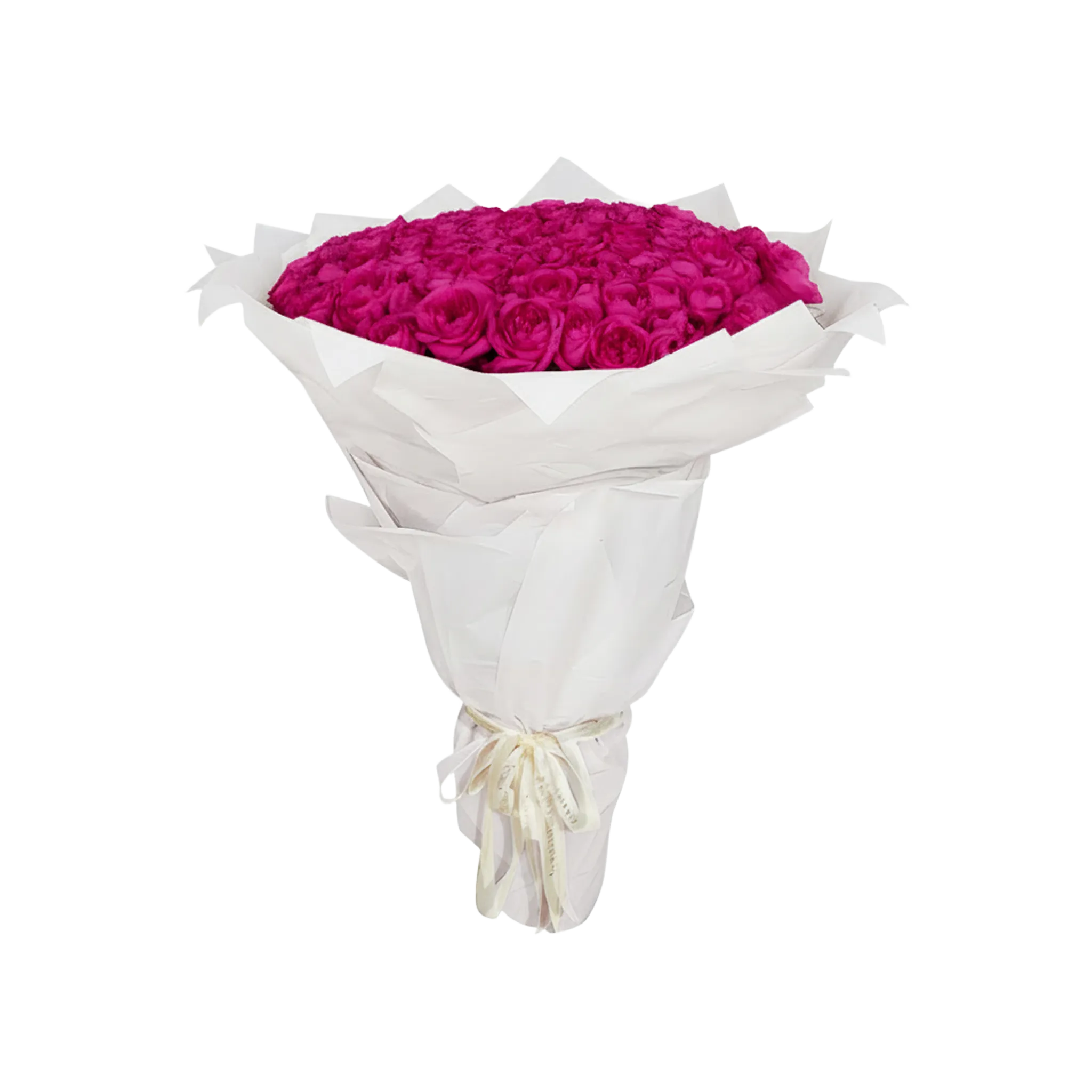Fresh Rose Bouquet | Fuchsia