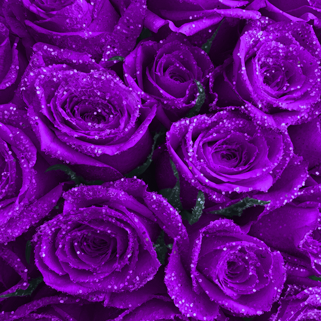 Heart Glitter Rose Box | Purple