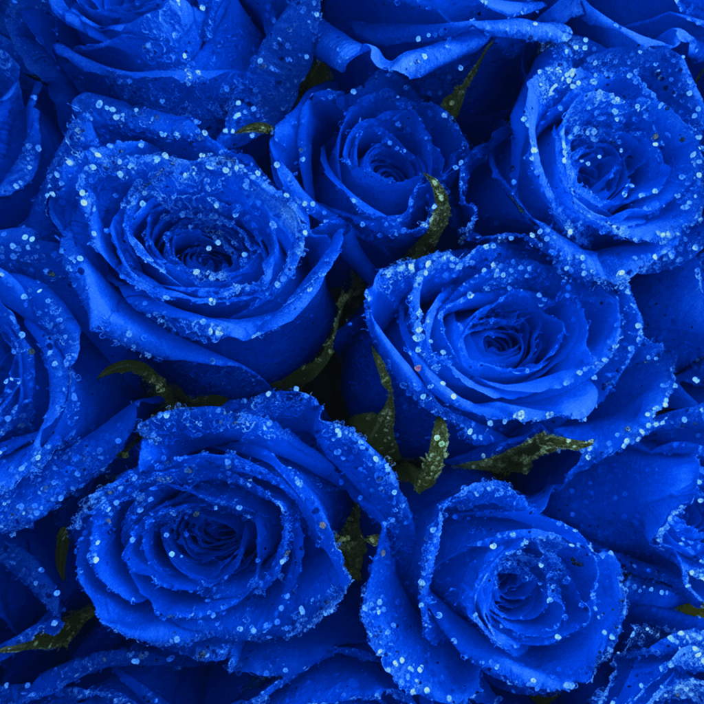Fresh Glitter Rose Box | Royal Blue