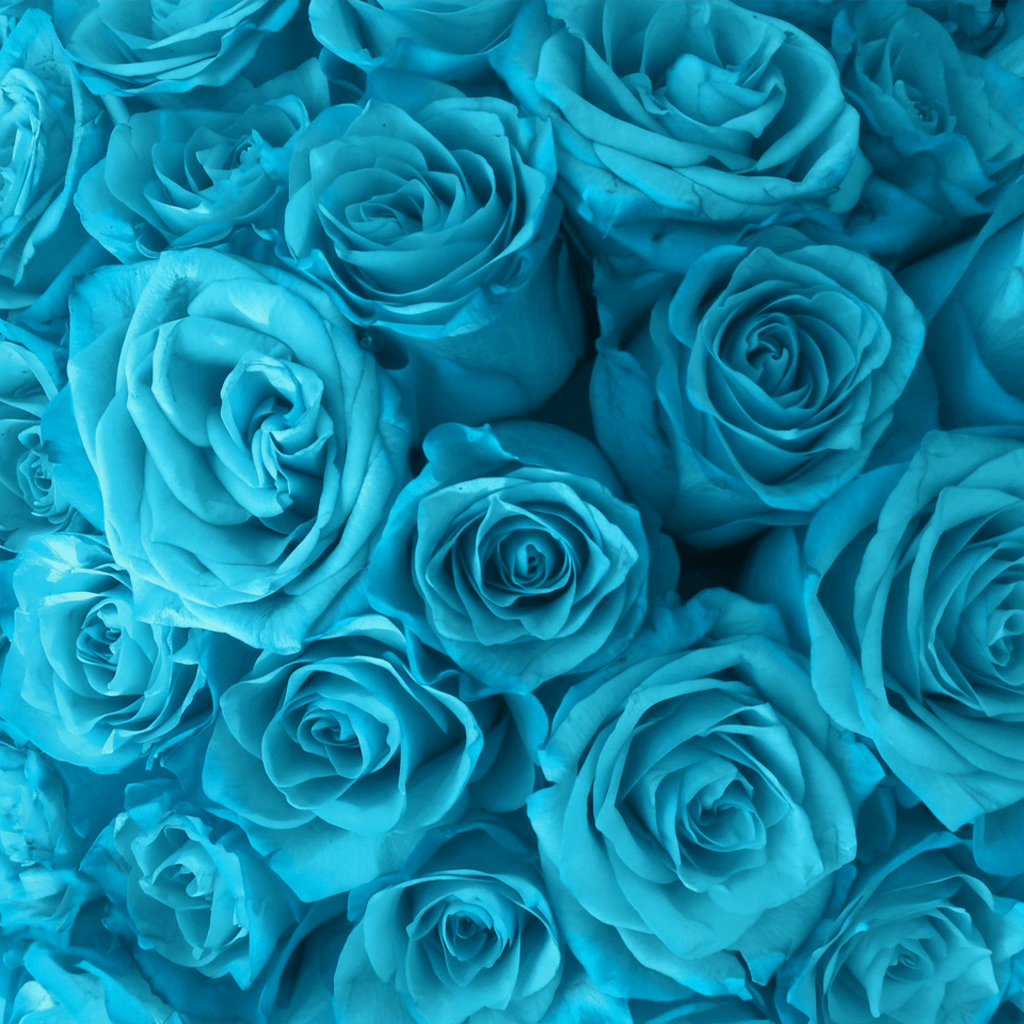 Long Lasting Rose Box | Sky Blue