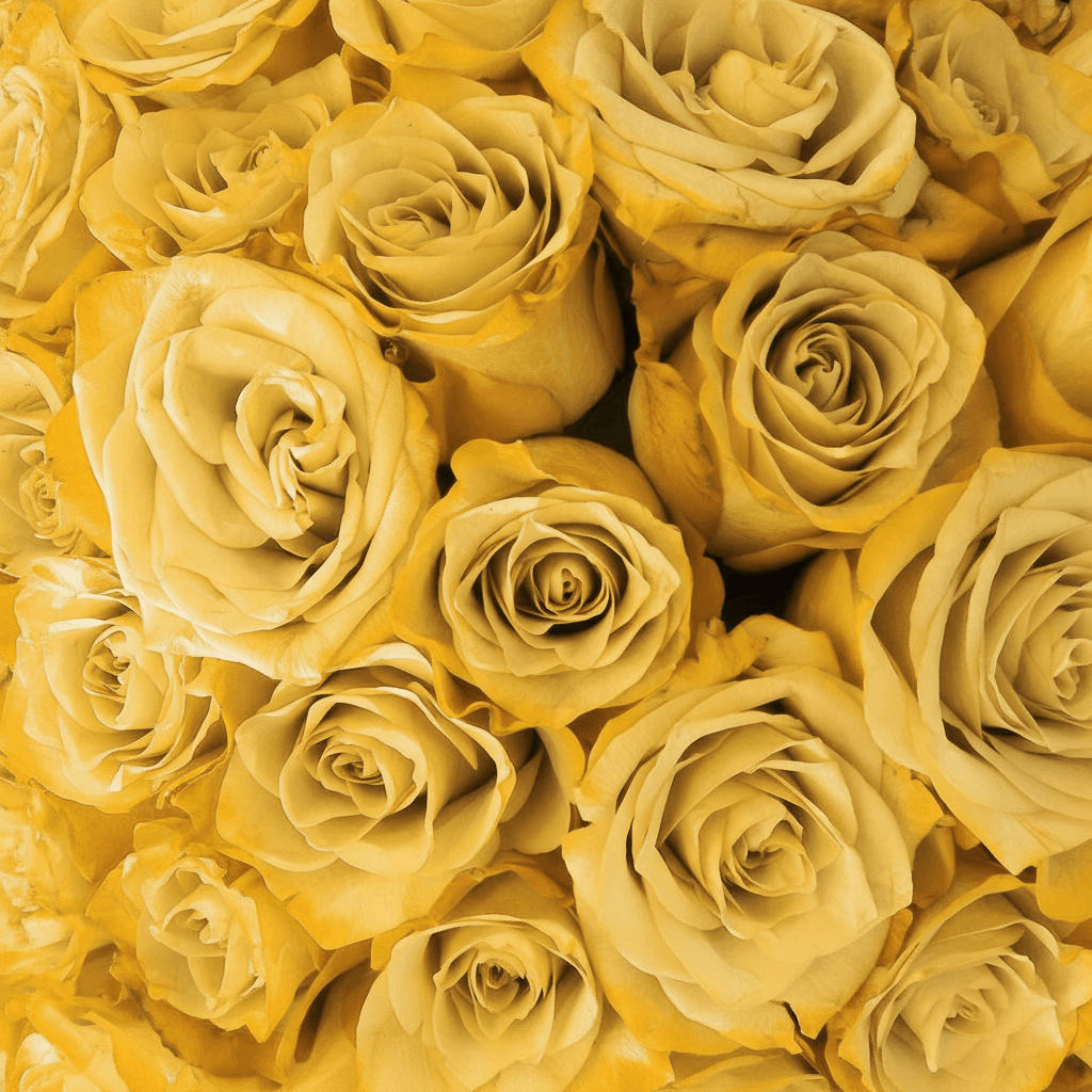 Fresh Rose Box | Yellow